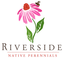 Riverside Native Perennials